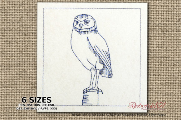 Burrowing Owls Lineart Design