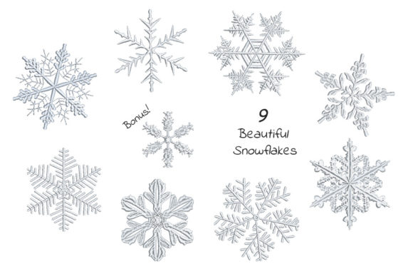 Set of Beautiful Snowflakes